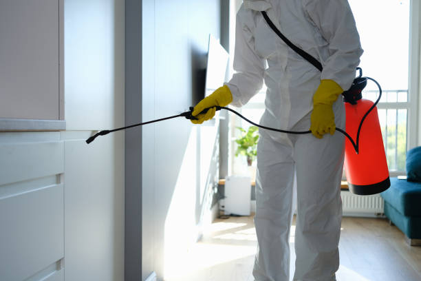 Best Office Mold Removal Services  in Glassport, PA