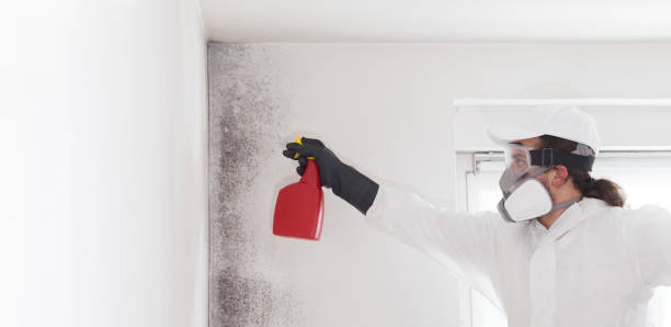Best Emergency Mold Removal  in Glassport, PA